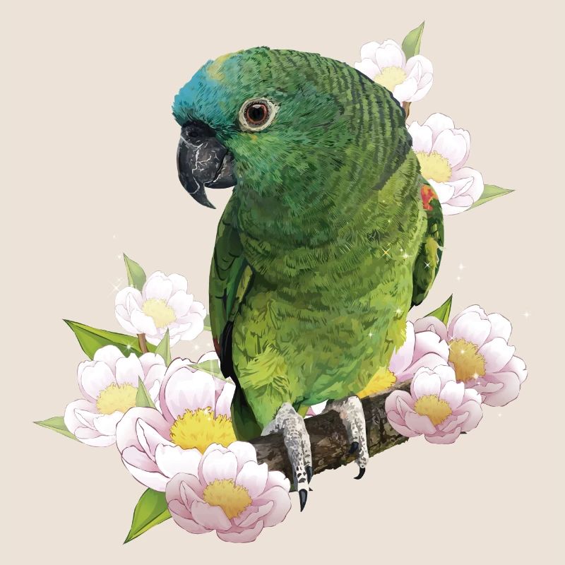 L’amazone à front bleu