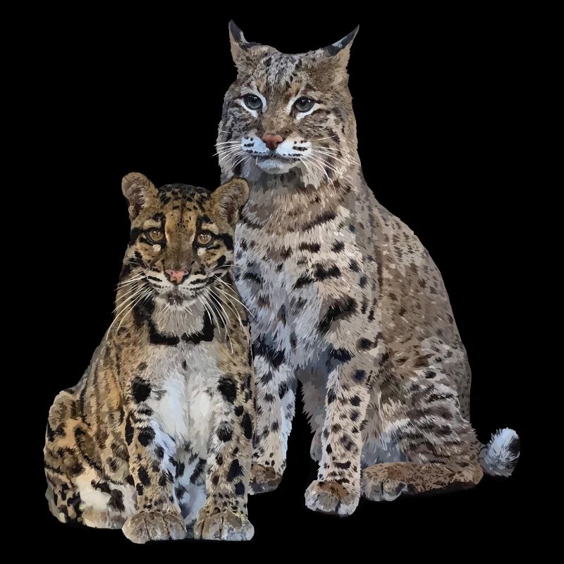 Nebelparder und Luchs