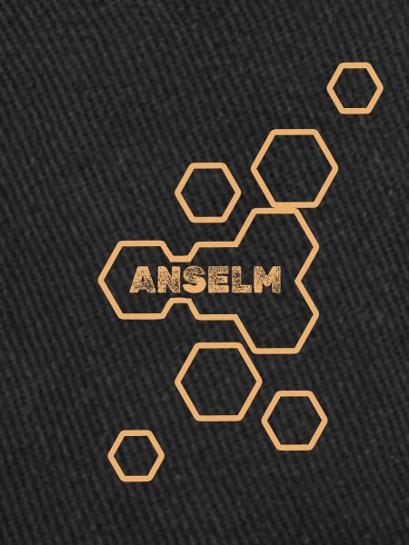 Anselme comme nom