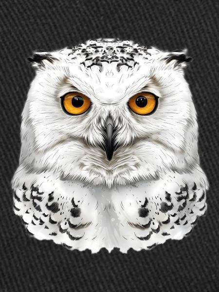 Snowy Owl Head