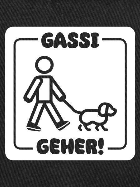 Gassi Gehen Hund