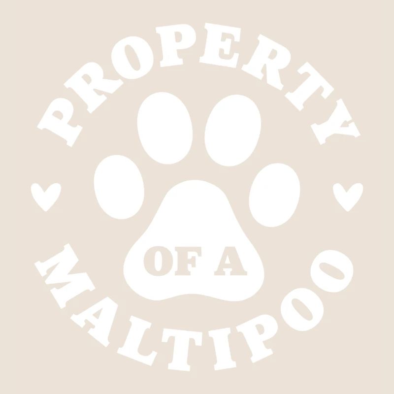 Eigentum eines Maltipoo