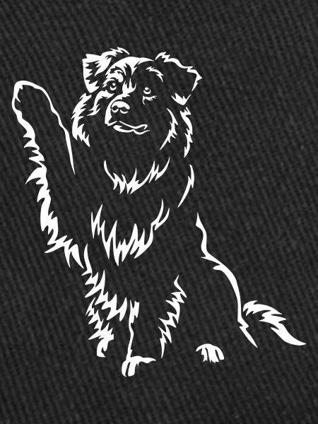 Australian Shepherd "Black Edition"