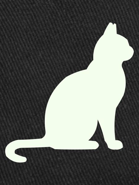 Moonlit Night Cat Silhouette