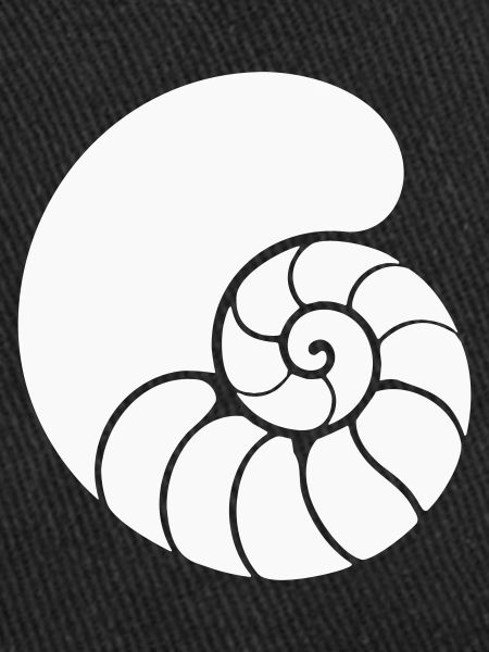 Spiral Pattern Shell
