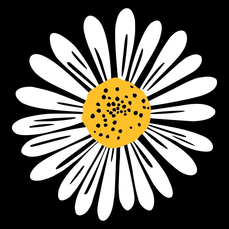 Gänseblume