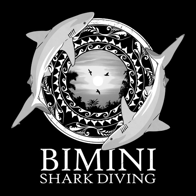Requin de récif des Caraïbes Bimini Bahamas