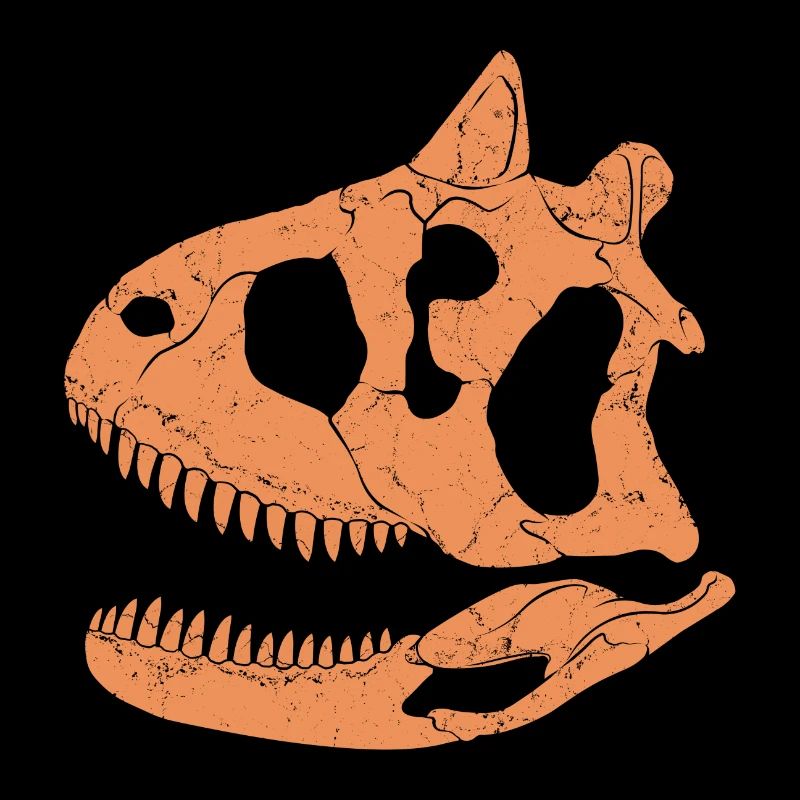 Crâne fossile de Carnotaurus