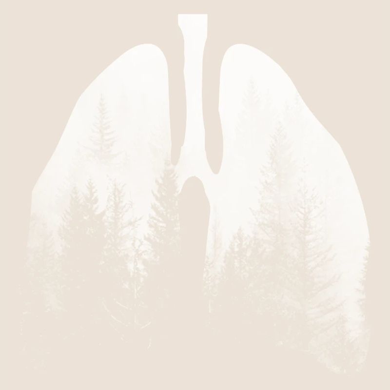 Trees - (3)