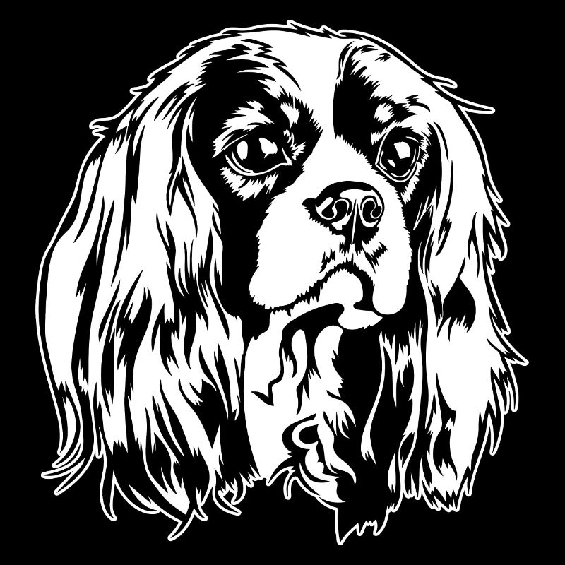 CAVALIER KING CHARLES SPANIEL Chien portrait chiens