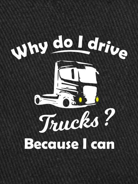 LKW Fahrer