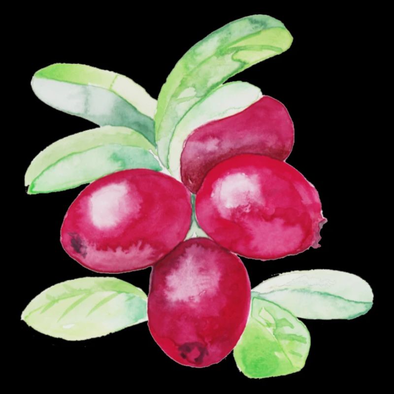 Cranberry