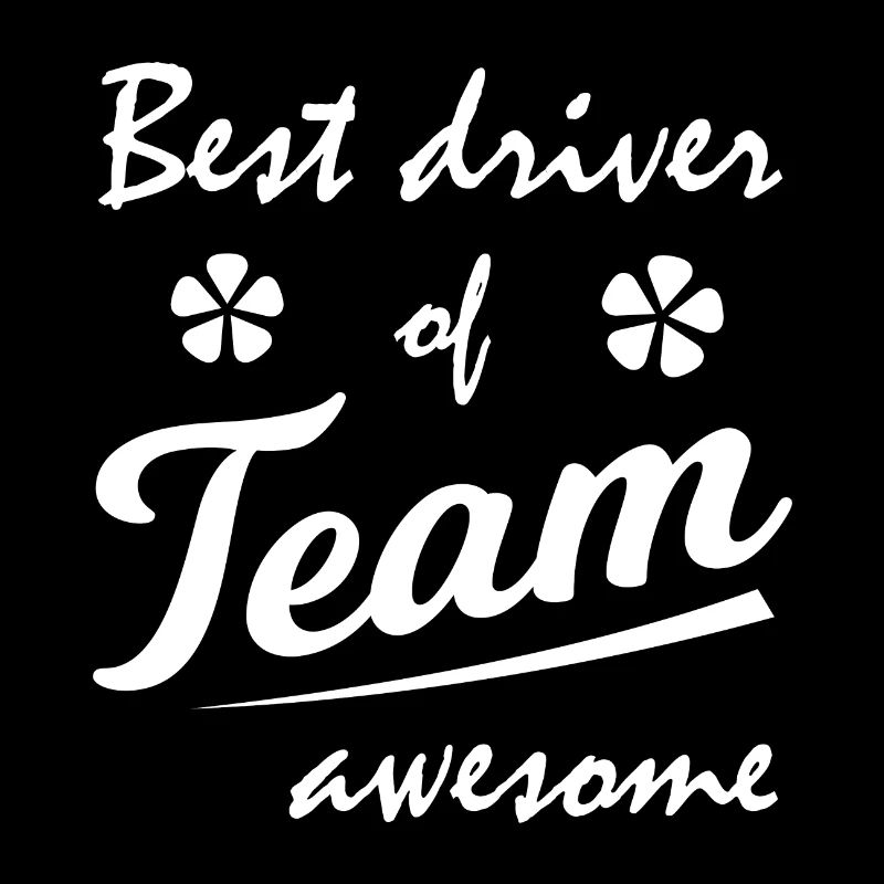 Le meilleur pilote