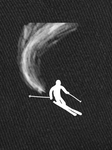 Ski ski