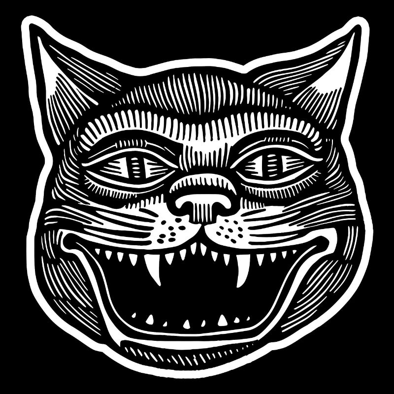 Katze Katzen Katzendame Katzenfreund Katzengesicht