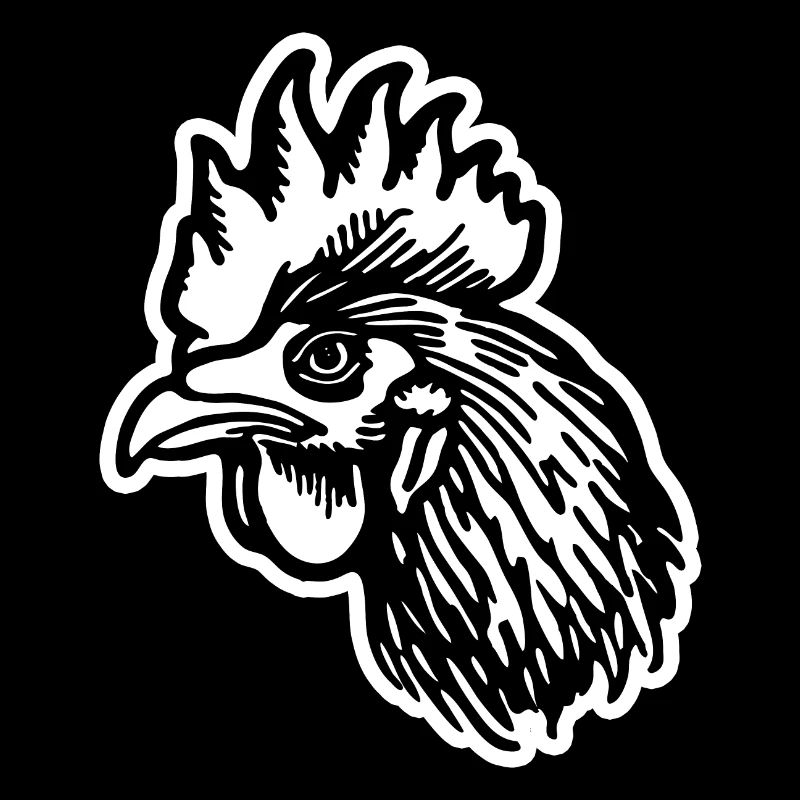 Chicken Chicken Coop