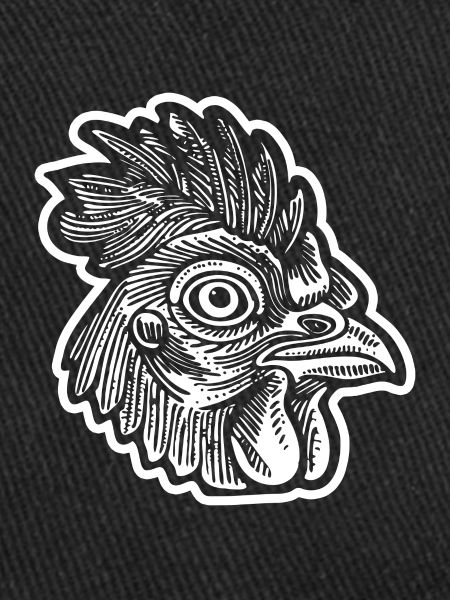 Chicken Chicken Coop