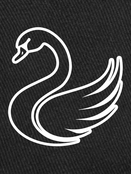 Swan Swans