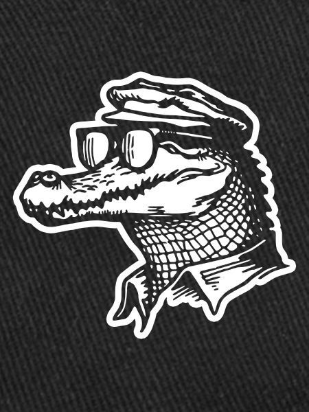 Crocodile Alligator