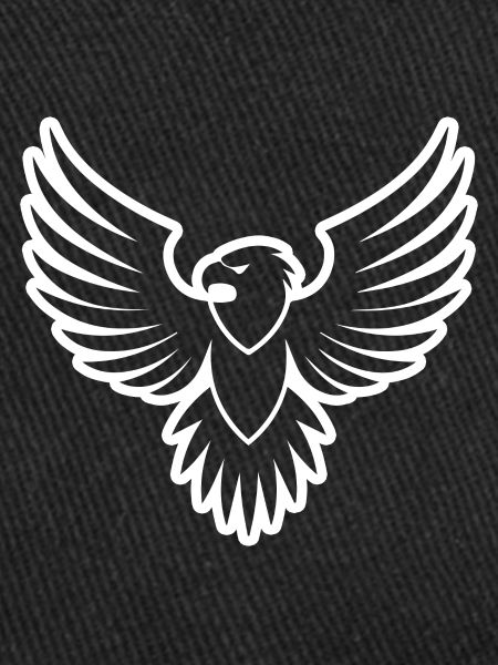 Eagle Eagle Head