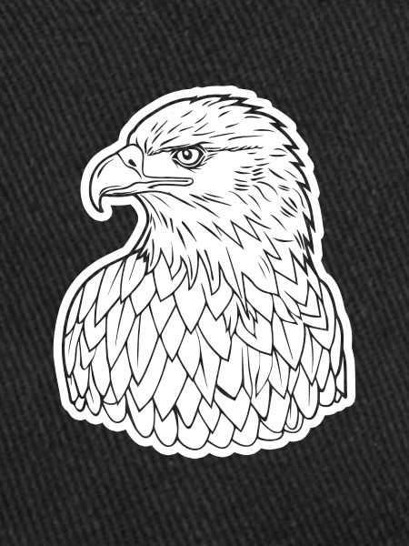 Aigle Tête d’aigle