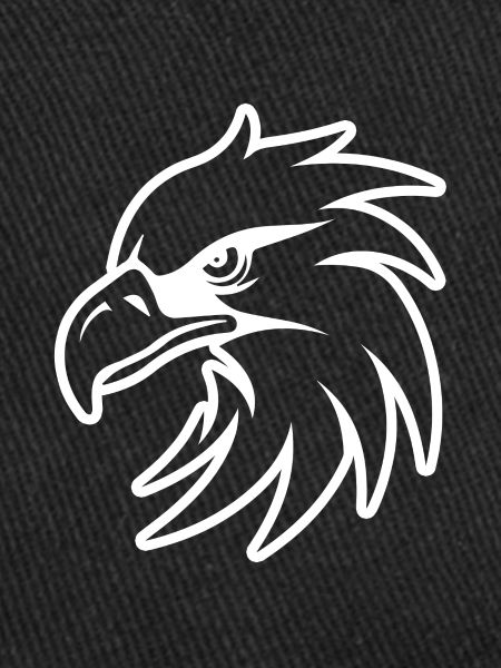 Eagle Eagle Head