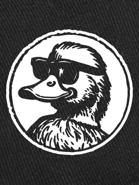 Canards