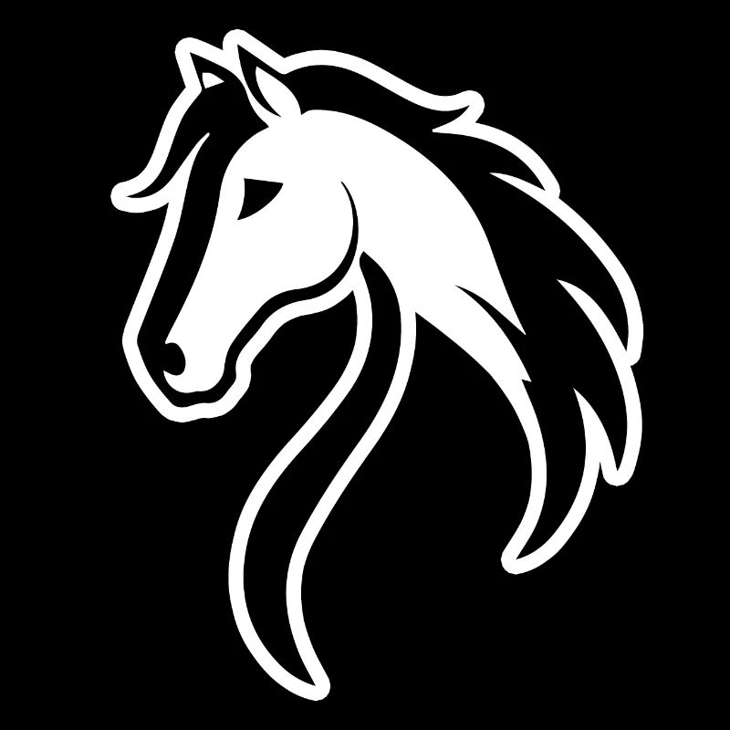 Pferd Pferde Reiten Reiter Reiterin