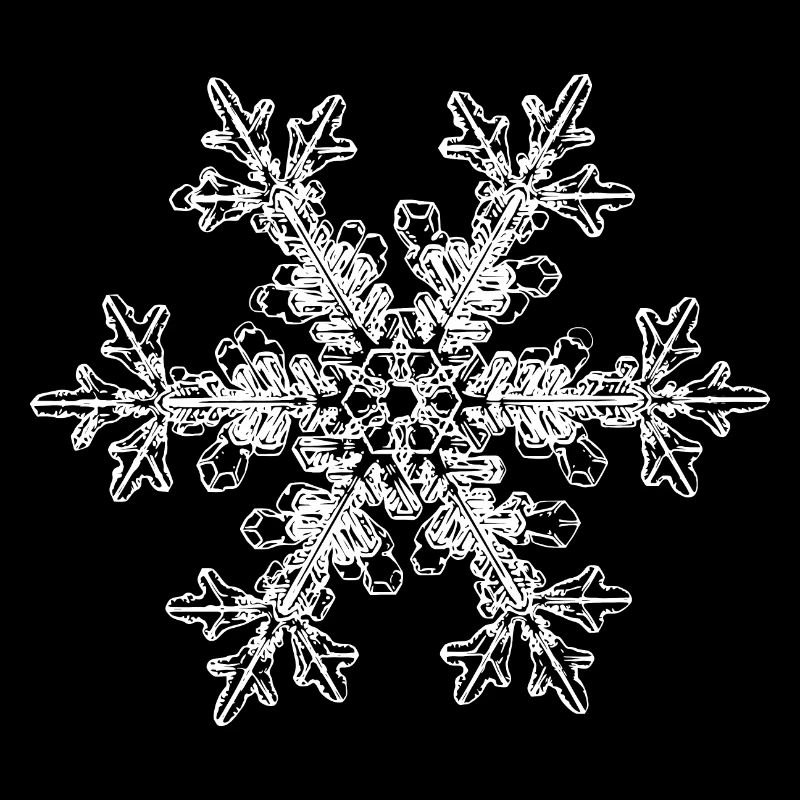 snowflake 7 white