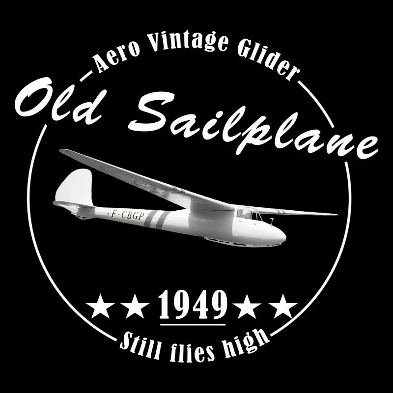 OLD SAILPLANE - Still flies high