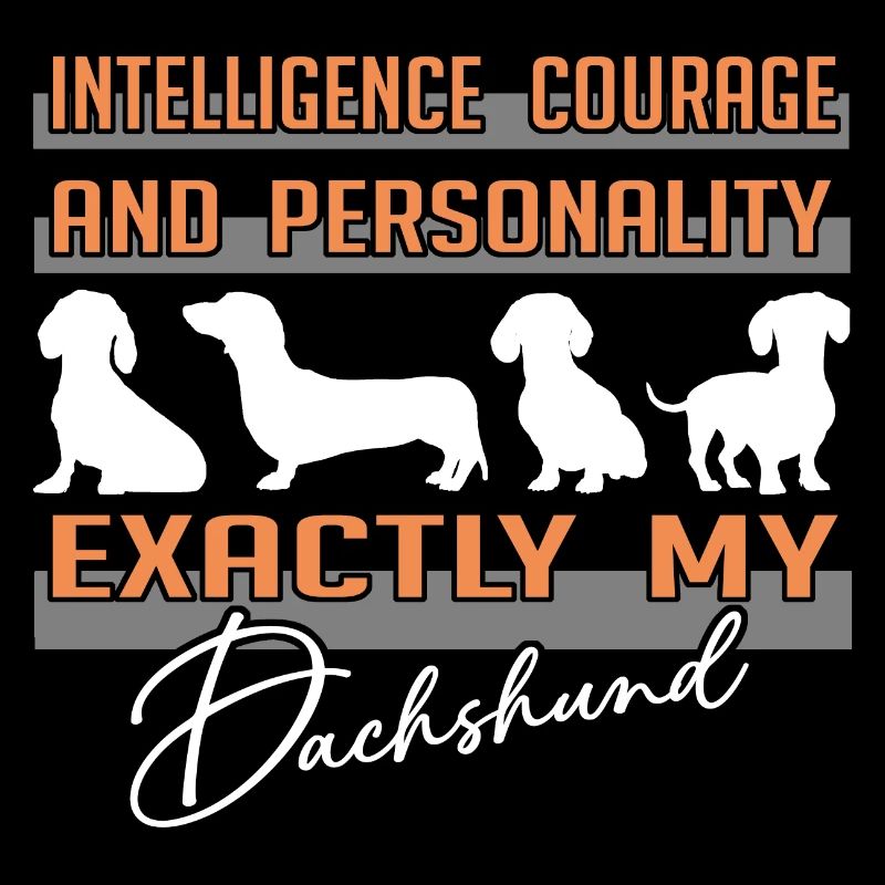 Intelligence, courage, personality - exactly my dachshund