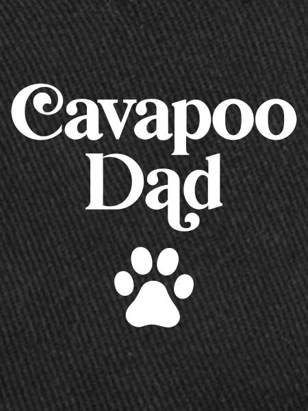 Cavapoo Vater