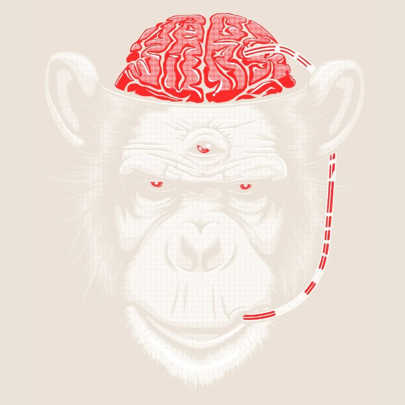Brain Chimp 2