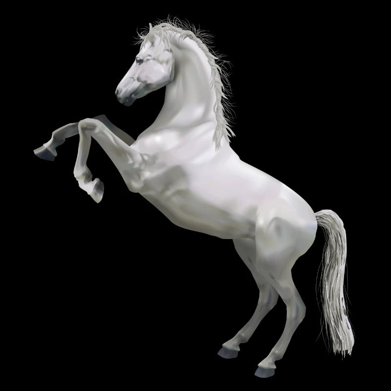 horse