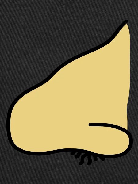 nose