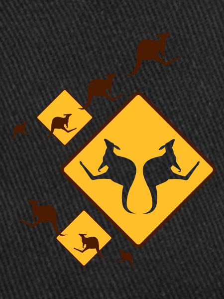 KANGAROO FUN
