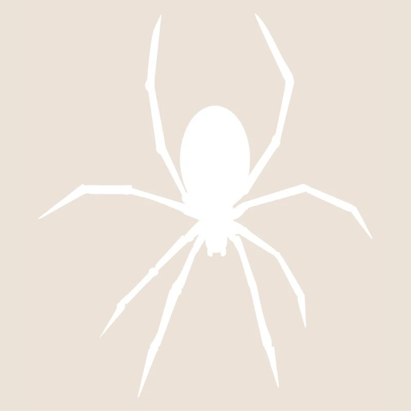 Spider - Animal - Spider