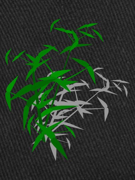 Bamboo with shadow