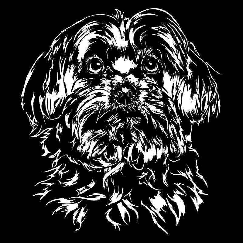 MALTESER Maltese Wilsigns Chien