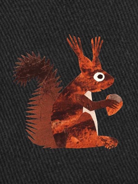 squirrel