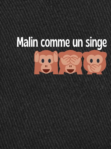 Malin comme un singe ! 🐵 🙉🙈🙊 🐒