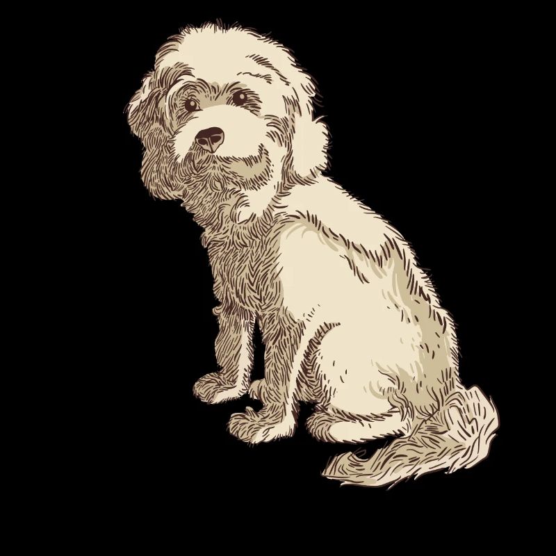 Cockapoo Cocker Spaniel Caniche Caniche miniature amour de chien