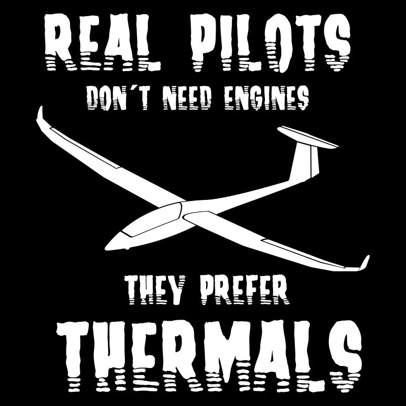 Glider glider flying glider pilot