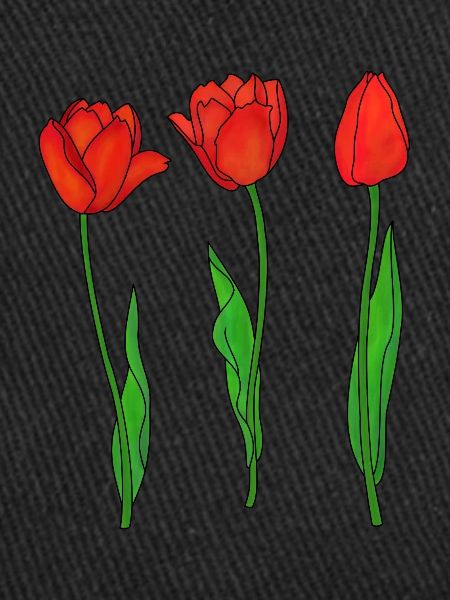 Red Tulips, Spring