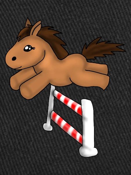 Springreiten
