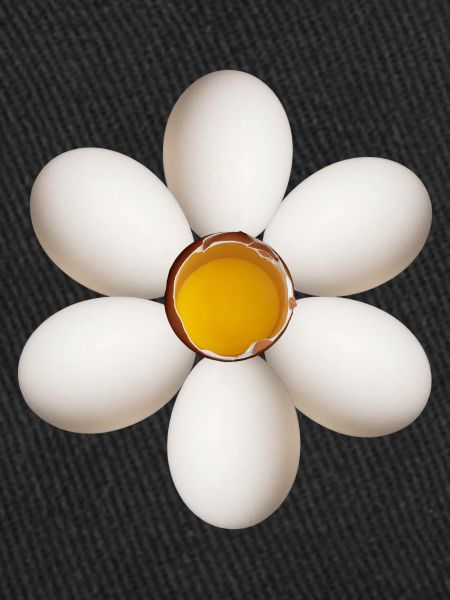 Fleur d’oeuf