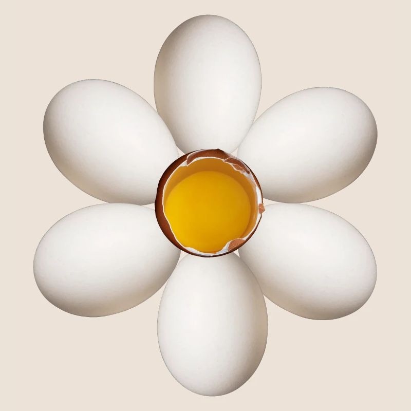 Egg flower