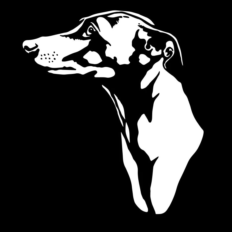 greyhound BACKGROUND