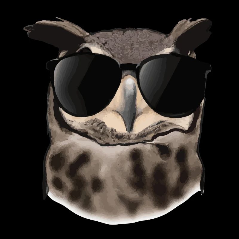 Eule mit Sonnenbrille Geschenkidee