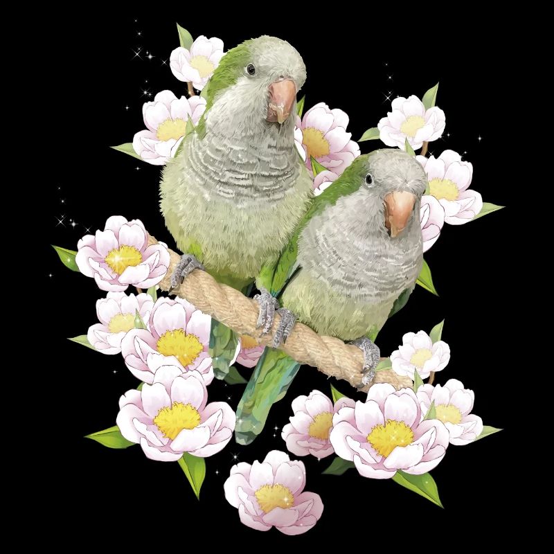 Argentine Parakeet